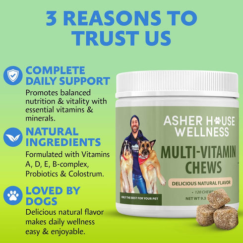 120 Asher House Wellness Dog Multivitamin Chews - Dog Vitamins and Supplements, Soft Chew for Pet Dogs with Probiotics