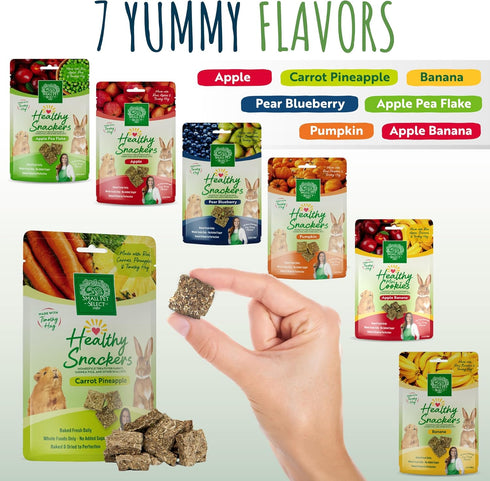 Small Pet Select Healthy Snackers - Carrot/Pineapple
