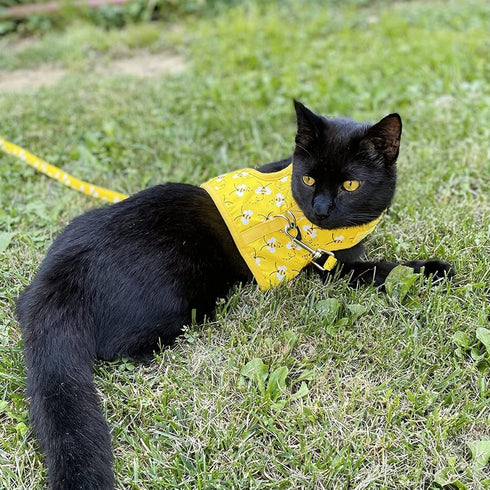 BINGPET Cat Harness with Leash and Collar for Walking, Escape Proof with 59 Inches Leash, Adjustable Soft Vest