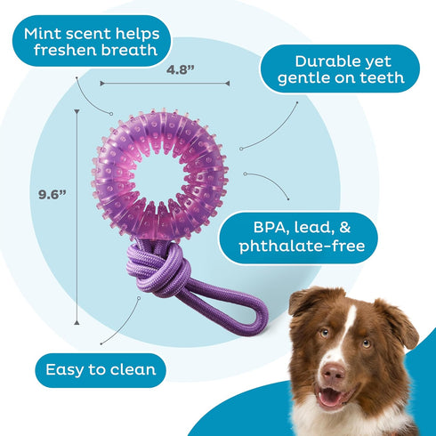 Outward Hound 2-in-1 Dental Chew Wheel Dog Chew Toy and Tug Toy, Purple