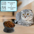 Ceramic Elevated and Tilted Cat Food Bowl, Dishwasher Safe, White (Gray)
