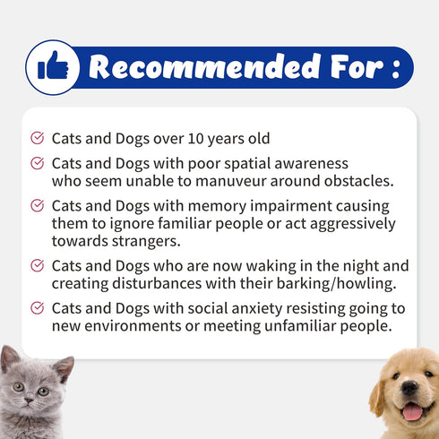 Recogry Liquid Cognitive Support for Dogs & Cats - Brain Health Supplement with Natural Ingredients (90ml)