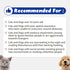 Recogry Liquid Cognitive Support for Dogs & Cats - Brain Health Supplement with Natural Ingredients (90ml)