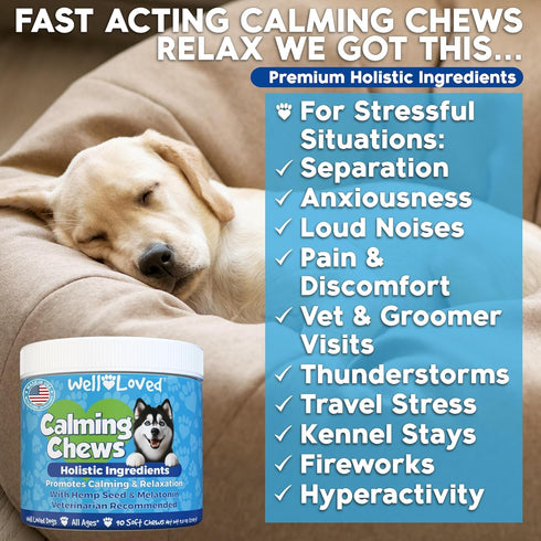 90 Count Well Loved Calming Chews for Dogs - Dog Calm Treats, Made in USA, Vet Developed, Behavior Support, Stress