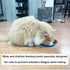 Stainless Steel Cat Bowls, Shallow Wide Cat Food Water Bowl with Non-Slip Placemats for Small Dogs and Kittens