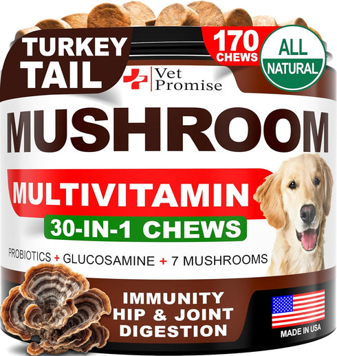 Turkey Tail Mushroom for Dogs - 170 Chews - Mushroom Supplement for