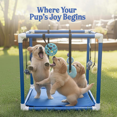 8 19.5" Set Race&Herd Puppy Play Gym, Dog Play Mat, Bungee Straps Interactive Puppy Active Toys - Small Dog Jungle Gym