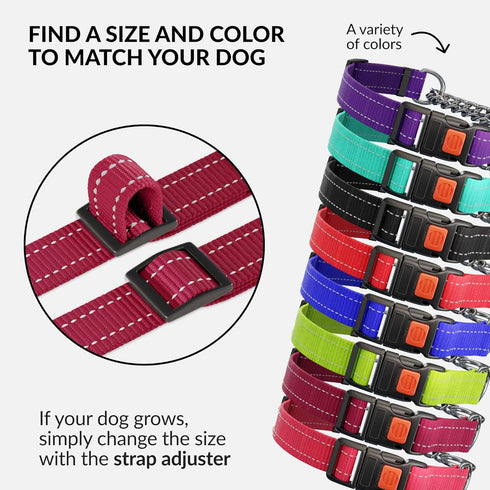 CollarDirect Martingale Dog Collar with Stainless Steel Chain, Quick Release Buckle, Reflective for Large, Medium,