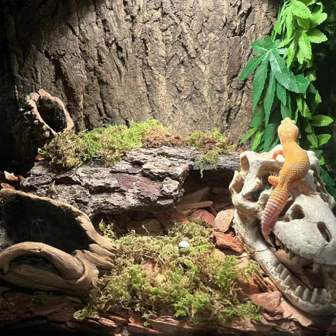 Tfwadmx 2Pcs Terrarium Cork Bark Background, 11.8"x11.8" Thickened Reptile Tank Tree Backdrop Wall Decor for Lizard,