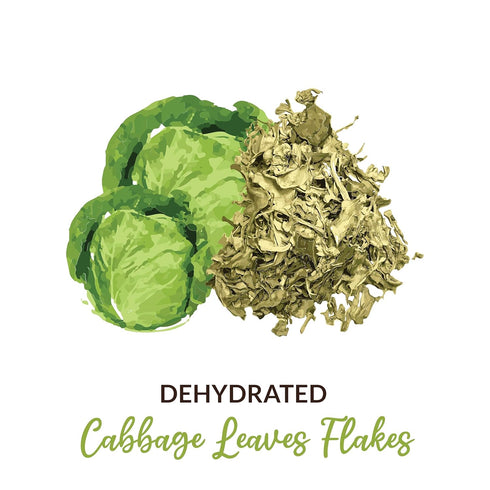 100gm (3.5oz) SHROOTS Dehydrated Cabbage Flakes Air Dried Vegetable Non-GMO Additive-Free Dried White Cabbage Perfect