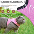PUPTECK Soft Mesh Cat Vest Harness and Leash Set, Escape Proof Padded Pet Harness for Small Dogs, Pink Large