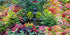 AWERT 48x18 inches Spring Floral Terrarium Background, Colorful Flowers and Leaves Nature Scenery Vinyl Background
