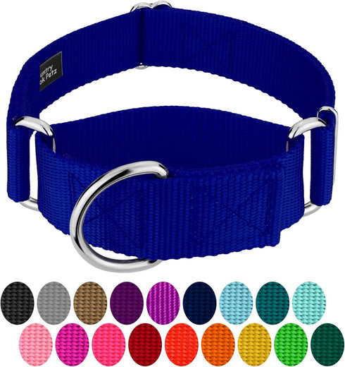 Country Brook Petz HossFit Jr Wide Martingale Dog Collar, Royal Blue, Medium