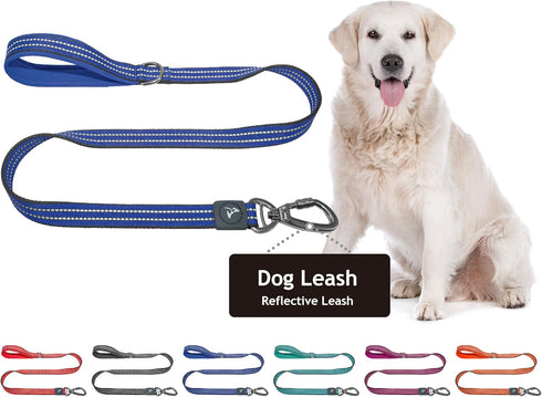 KZV5048-15S 4" Long Reflective Heavy Duty Click Lock Hook Leash with Locking Carabiner Clip - Blue