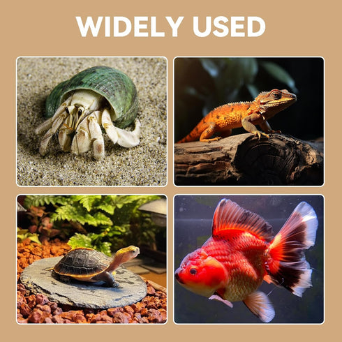 Hollima Hermit Crab Tunnel Cave Corner, Hermit Underground Crab Climbing Tank Accessories Decor Hide, Hermit Crab