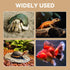 Hollima Hermit Crab Tunnel Cave Corner, Hermit Underground Crab Climbing Tank Accessories Decor Hide, Hermit Crab