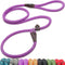Fida Durable Slip Lead Dog Loop Leash, 6 FT x 1/2" Heavy Duty Comfortable Rope for Large Medium Dogs, Purple