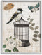 Stupell Industries Vintage Bird Cage Butterfly Floral Script Words Framed Wall Art, Design by Nan