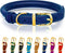 OOPSDOGGY Reflective Rolled Leather Dog Collar - Adjustable Soft Padded Collar for Small Breed Dogs (XXS, 7"-9", Blue)