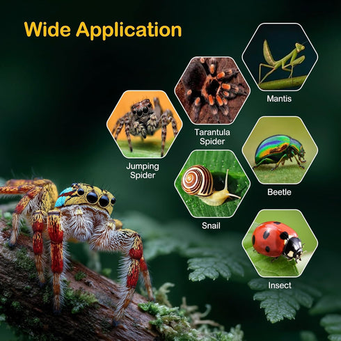 Jumping Spider Enclosure Kit,Escape Proof Reptile Tank,Praying Mantis Terrariums,Transparent Acrylic Bug