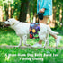 5 Pack Dog Diapers Male Reusable, Premium Belly Bands for Male Dogs, High Absorbing Male Dog Pee Wraps for Doggie