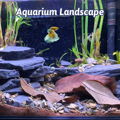 PINVNBY Natural Slate Aquascaping Stones - 3 to 5 inch PH Neutral Fish Tank Rocks for Aquariums and Landscaping