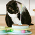 2-in-1 Catstages Spring Cat Toy & Scratcher Combines Play and Self Grooming Nail Care for Indoor Cats, Ball Track