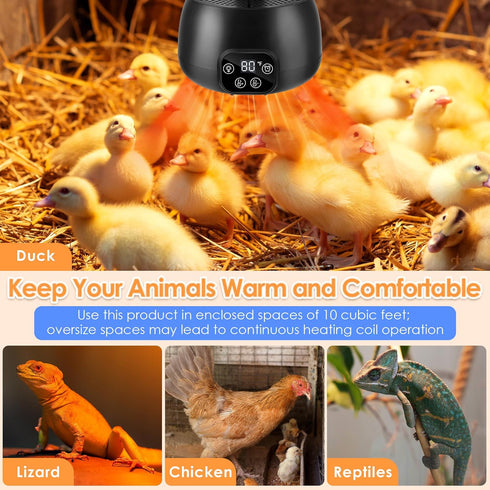 2 Pack 200W 5Ft Chicken Coop Heater with Lighting and Temperature Control Chicken Heating Lamp with Digital Display