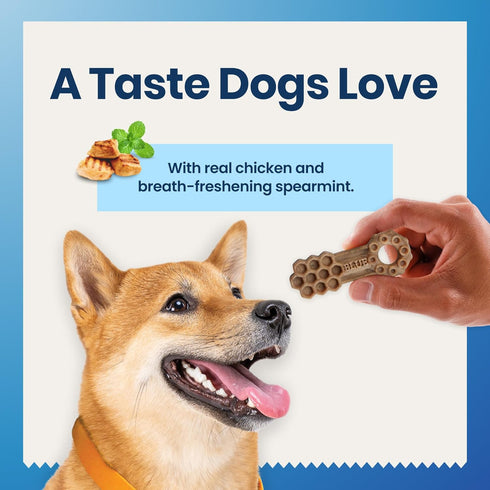 Blue Buffalo Medium Dental Chews for Dogs (14 Count) Made in the USA, Natural Ingredients, Chicken & Spearmint, Daily