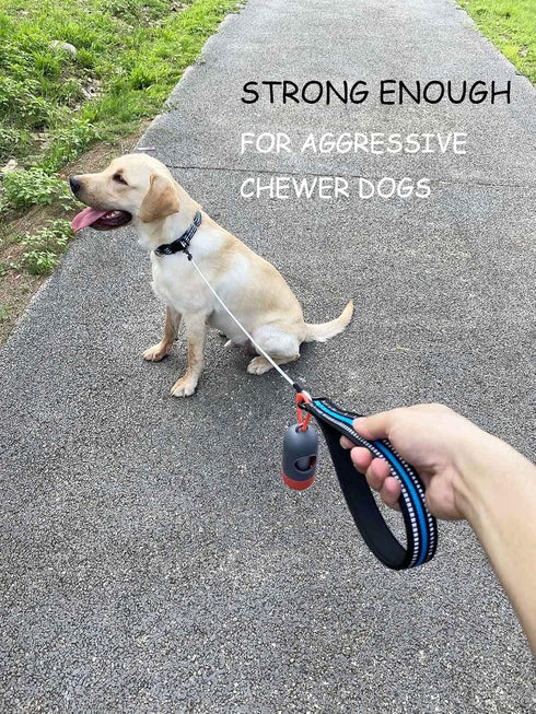 Chew Proof Dog Leash, 5 ft Steel Cable Lead with Reflective Soft Padded Handle, Sturdy Waterproof - Black