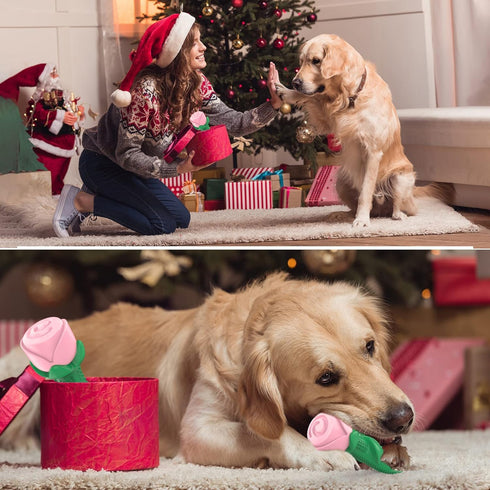 ucho Interactive Chew Toys for Aggressive Chewers, Dog Toy for Training and Teeth Cleaning (Champagne, Roses)