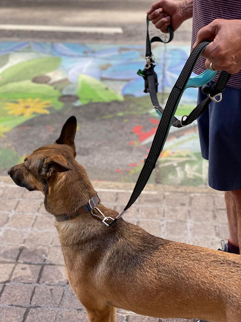 6 ft. Bungee Dog Leash - Heavy Duty with 4 Traffic Handles, Mighty Carabiner Clip, Ultra Reflective for Large Dogs