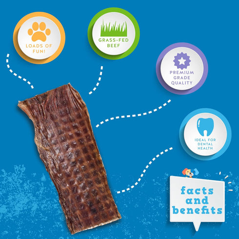 (25 Pack) 6" Jack&Pup Beef Jerky for Dogs Esophagus Dog Treats, Beef Gullet Sticks for Dogs, Long Lasting Dog Chews