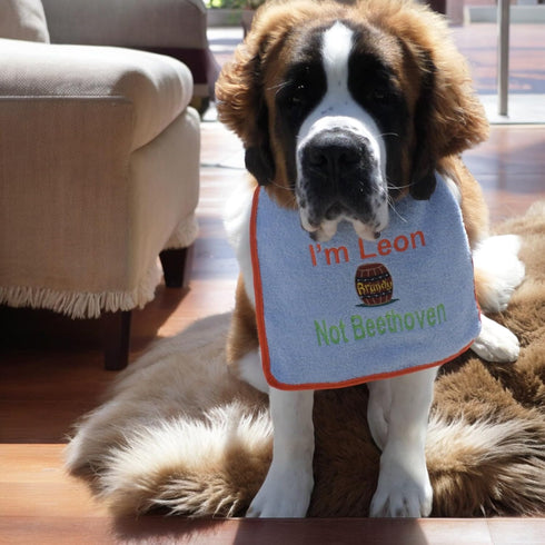 Unique Personalized Saint Bernard Bib with own Name and Brandy Barrel Embroidered Full Colour - Choose bib & Embroidery