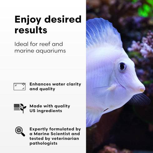 500 ml Continuum Aquatics Phos Correx Advanced Phosphate Remover for Reef & Marine Aquariums Enhances Water Clarity