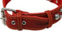 Red Real 1.5" Wide Thick Leather Studded Dog Collar, Fits 17"-21.5" Neck, Large Breeds