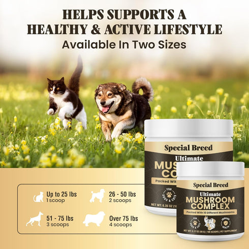 Immunity Immune 360 Mushroom Powder for Dogs & Cats - Organic Mushroom Complex for Support, Function, Cognition