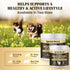 Immunity Immune 360 Mushroom Powder for Dogs & Cats - Organic Mushroom Complex for Support, Function, Cognition