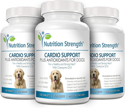 Cardio Support for Dogs with L-Carnitine, L-Taurine, Coenzyme Q10, Vitamin E, 120 Chewable Tablets