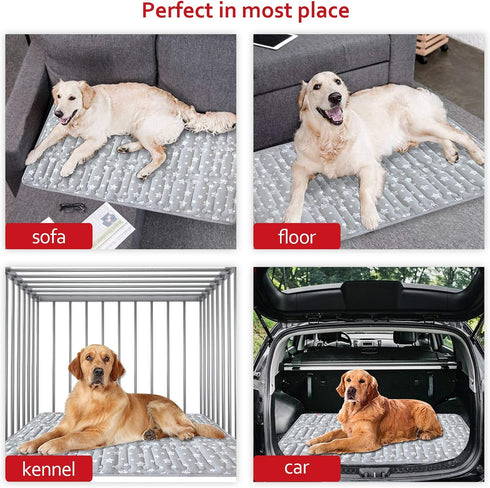 Dog Crate Mat (42" X 28"), Soft Bed Mat with Cute Prints, Anti-Slip Bottom, Machine Washable