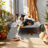 Veehoo Cooling Elevated Dog Bed for Large Dogs, Raised Bed with Guardrail & Slope Headrest, Durable Mesh