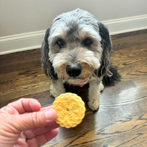 Exclusively Dog Cookies Sandwich Cremes Dog Treats, Peanut Butter Flavor for Medium and Large Dogs, 8 oz, Made in The