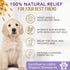 4Legger 16 oz All Natural Organic Oatmeal Dog Shampoo for Itchy Skin with Aloe, Coconut & Lavender Essential Oil