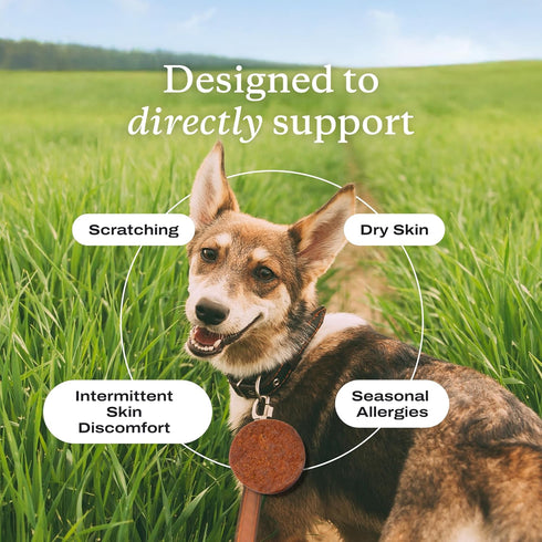 PetLab Co. Itch Relief Chews for Dry, Occasionally Itchy Skin & Coats, Formulated with Turmeric, Omega 3 & 6, Honey