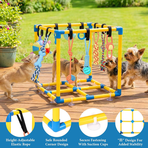 10 WLLEYAY Puppy Play Gym for Small Dogs with Hanging Toys, Removable Indoor Jungle Gym, PVC Frame with Adjustable