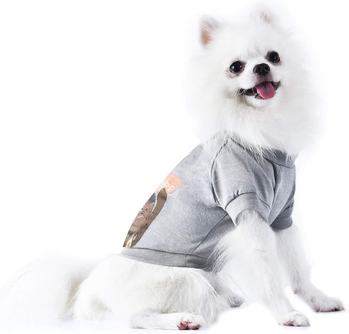 Star Wars for Pets "Come To The Fluffy Side" Chewbacca Dog Tee - Soft Dog Shirt for Large Dogs, Size X-Large