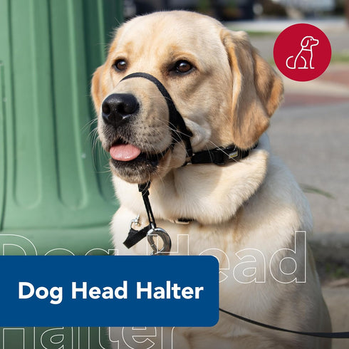 Coastal Pet Walk 'n Train Dog Head Halter, No-Pull Harness, Black, XLarge