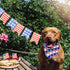 Sublimation Dog Bandanas 4PCS, Heat Transfer Washable Scarf, Blank DIY Solid Kerchief for Small XS Puppy Cats