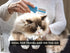 Foldable Grooming Comb for Dogs, Cats, and Horses, Demat and Detangle Comb for Loose Fur, Great for Travel