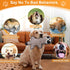 Eneston 5 Pack No Stuffing Squeaky Dog Toys for Large Dogs - Interactive Durable Plush Chew Toy with Crinkle Paper